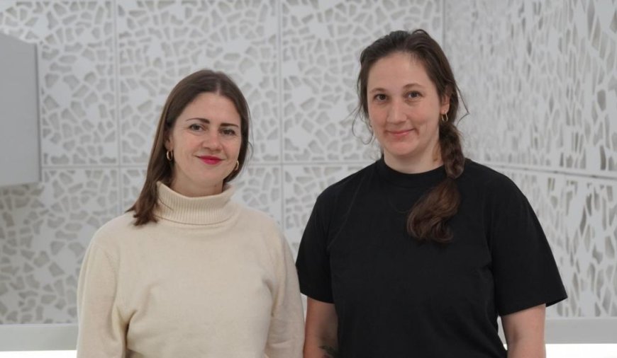 Almanya'da öğretmen açığına 'göçmen' çözümü: Lehrkräfte PLUS projesi
