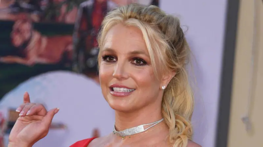 Ünlü pop yıldızı Britney Spears California'da gözaltına alındı